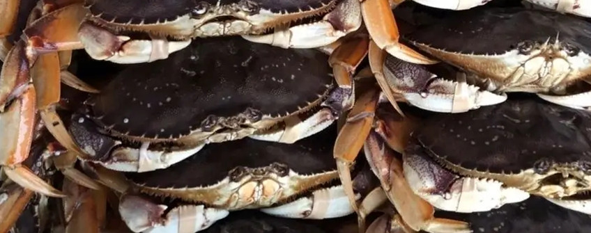 水产入口：海鲜入口从香港中转内地怎样清关？？？？？？？？