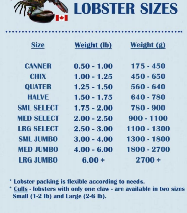 888.BY集团电子游戏(中国)有限公司官网