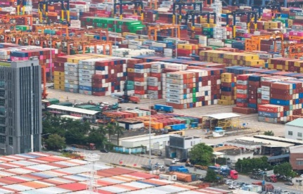 高效物流护航年味转达：从湾区花园到澳门陌头的“抢鲜”通关