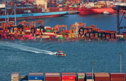 上海海关全力包管第八届进博会首批展品通关