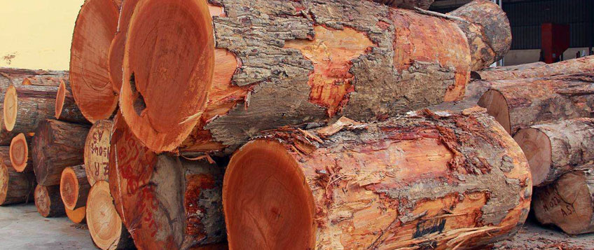 红木家具入口清关