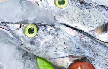 冻带鱼入口报关注重事项？？？？？？？？