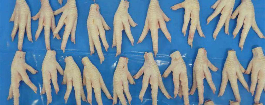 巴西冻鸡爪入口广州清关代理