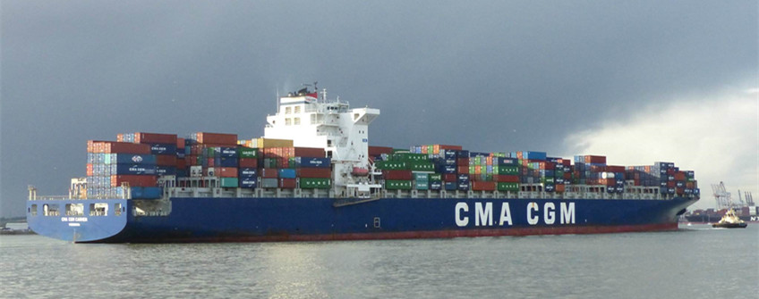 狗粮入口清关代理