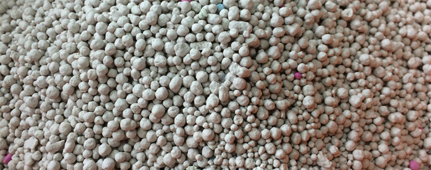 猫砂从外洋怎样入口到海内？？？？？？？