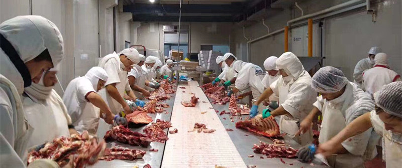 冻品入口报关：入口牛肉代理报关