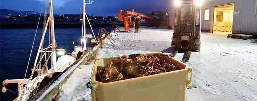 外洋活海鲜入口广州可以清关吗？？？？？