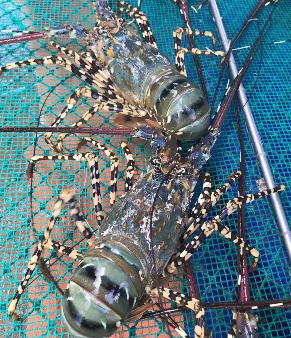 888.BY集团电子游戏(中国)有限公司官网